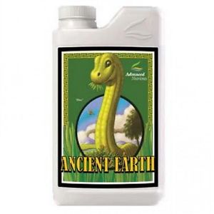 Ancient Earth